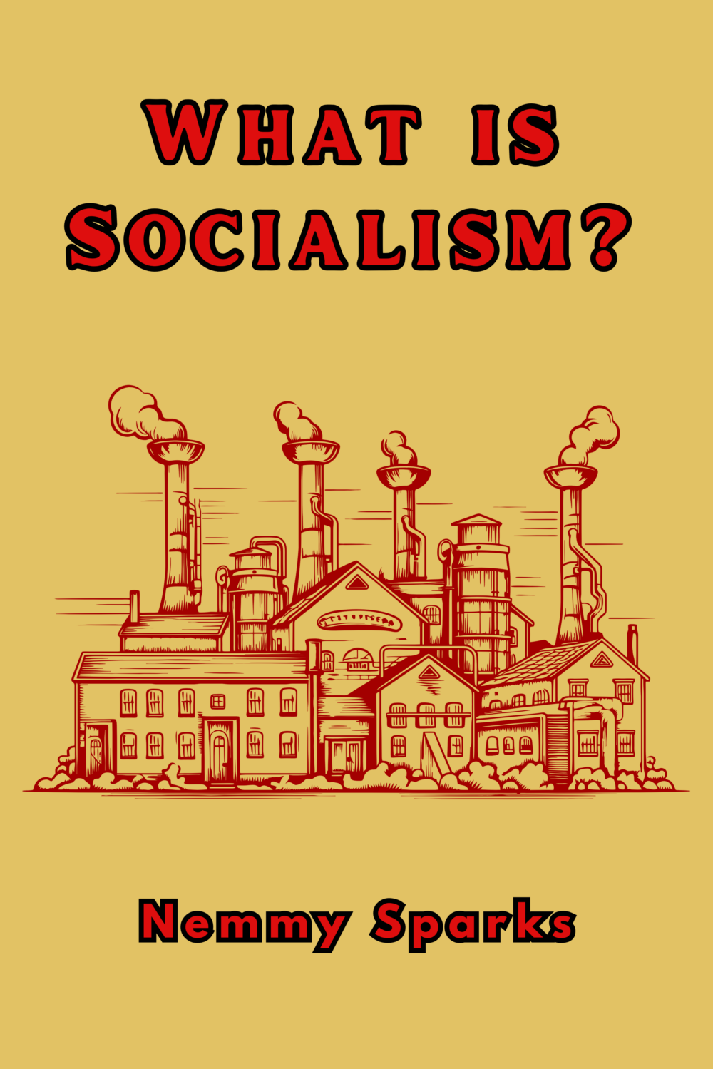 What is Socialism?